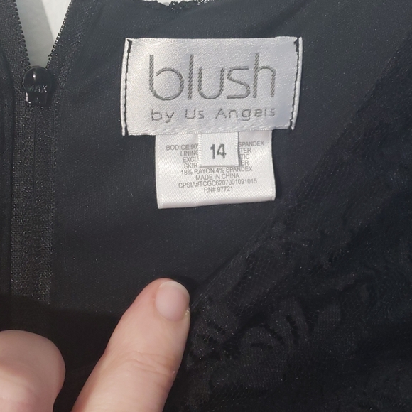 Blush Girl's Dress Size 14 - Picture 3 of 4